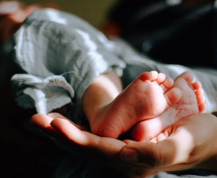 PREGNANCY WEEK-22 DEVELOPING TASTE BUD