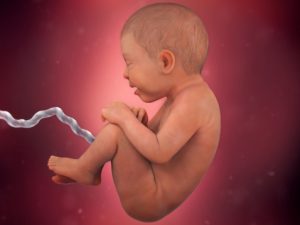 PREGNANCY WEEK-36 FINAL GROWTH