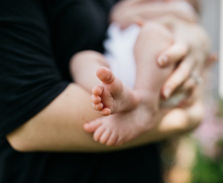 PREGNANCY WEEK-17 BRAIN DEVELOPMENT